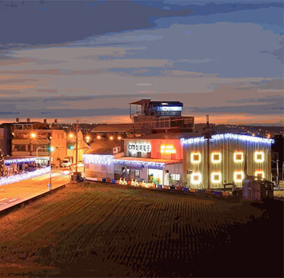 Chicote Elétrico Aeroespacial